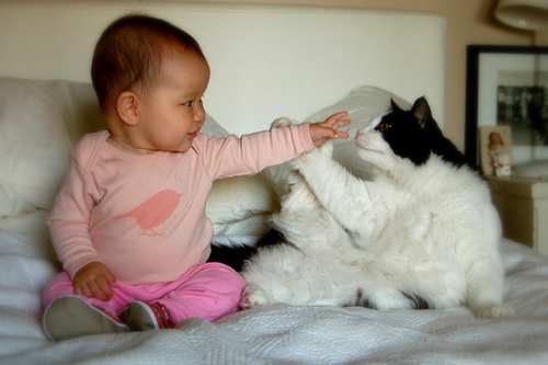 Women+breastfeeding+pets